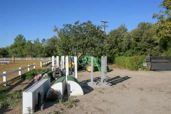 Enlarge photo 45