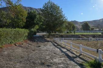 Enlarge photo 46