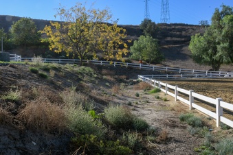 Enlarge photo 49