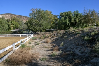 Enlarge photo 51