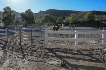 Enlarge photo 55