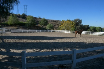 Enlarge photo 58