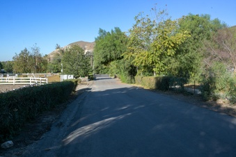 Enlarge photo 57