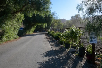 Enlarge photo 59