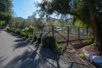 Enlarge photo 61