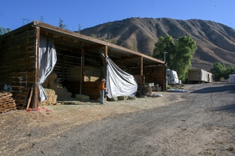 Enlarge photo 64
