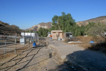 Enlarge photo 72