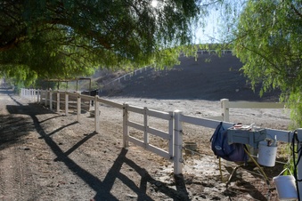 Enlarge photo 74