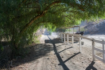 Enlarge photo 75