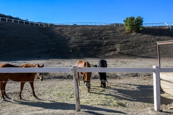 Enlarge photo 76