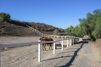 Enlarge photo 78