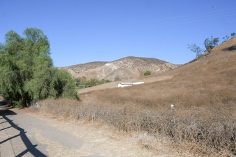 Enlarge photo 80