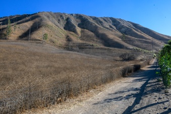 Enlarge photo 81