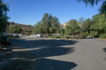 Enlarge photo 85
