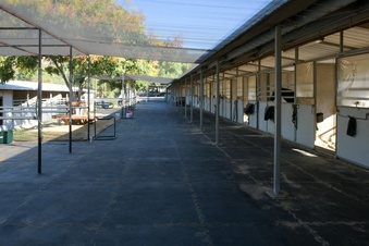 Enlarge photo 91