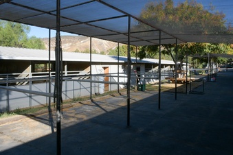 Enlarge photo 90
