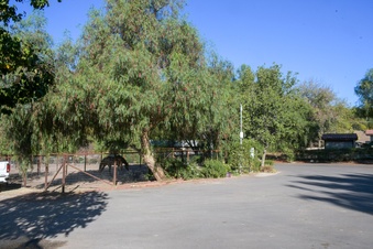 Enlarge photo 95