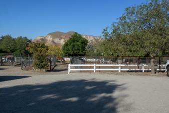 Enlarge photo 98
