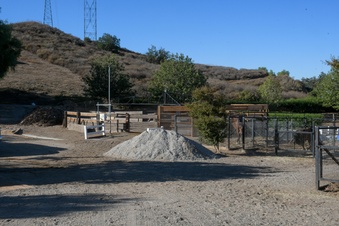 Enlarge photo 99