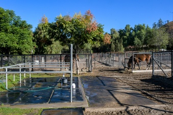 Enlarge photo 103