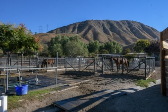 Enlarge photo 104