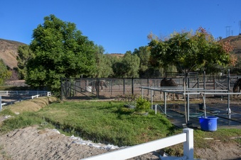 Enlarge photo 105