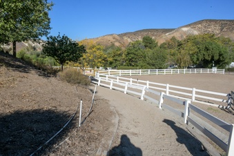 Enlarge photo 106