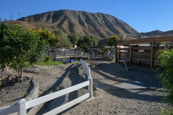 Enlarge photo 107