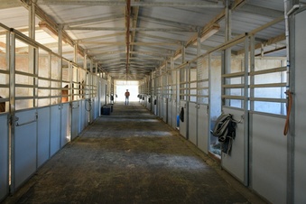 Enlarge photo 110
