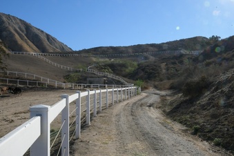 Enlarge photo 125
