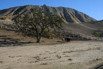 Enlarge photo 126