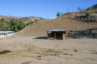 Enlarge photo 127