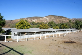 Enlarge photo 128