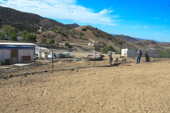 Enlarge photo 8
