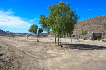 Enlarge photo 25