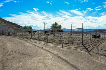 Enlarge photo 29
