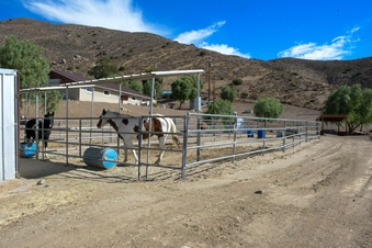 Enlarge photo 32