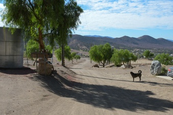 Enlarge photo 41