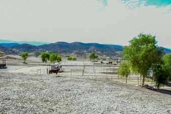 Enlarge photo 56