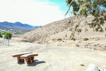 Enlarge photo 65