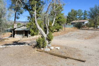 Enlarge photo 2