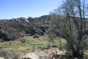 Enlarge photo 9