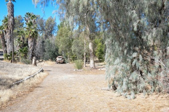 Enlarge photo 18