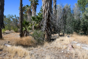 Enlarge photo 33