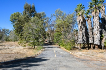 Enlarge photo 38