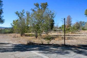 Enlarge photo 39