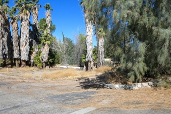 Enlarge photo 40