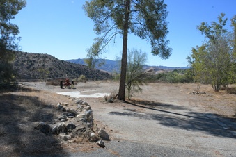 Enlarge photo 41