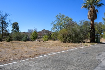Enlarge photo 59