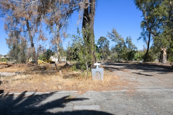 Enlarge photo 60